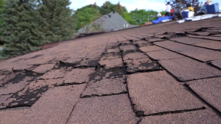 Fast & Reliable Emergency Roof Repairs in Lakewood, OH